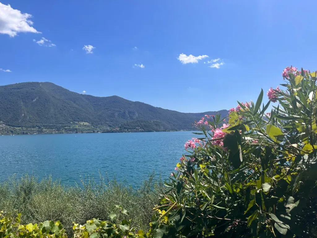 het SNS bestuur wenst u een fijne zomerperiode!